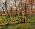 meadow at bazincourt 1885 Camille Pissarro scenery